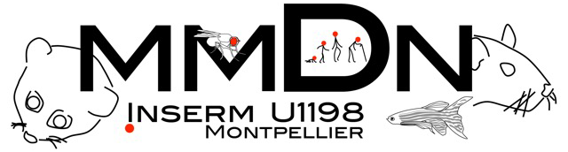 logo mmdn